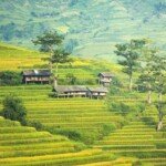 Lynne-Kennedy-Travel