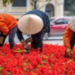 Lynne-Kennedy-Travel