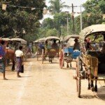 Lynne-Kennedy-Travel